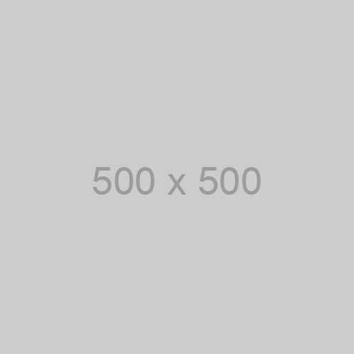 500X500